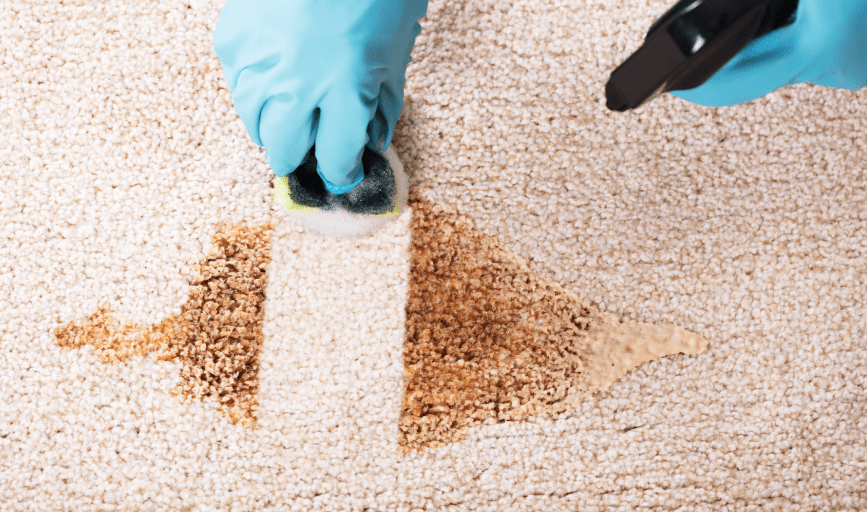 DEEP CLEANING
